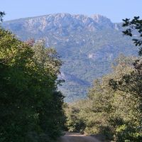 Photo de france - La randonnée du moulin de Ribaute